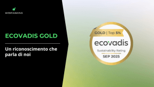 OPZIONE 3 (6) | Webranking